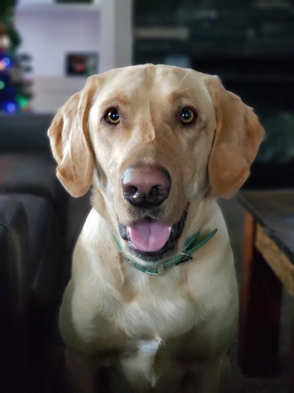 20181215_092217.jpg
