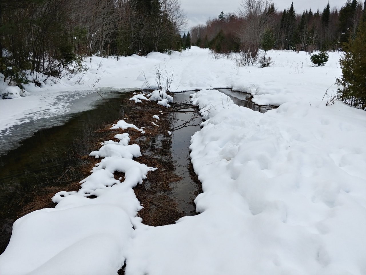 20181215_132356_HDR 1st open water.jpg