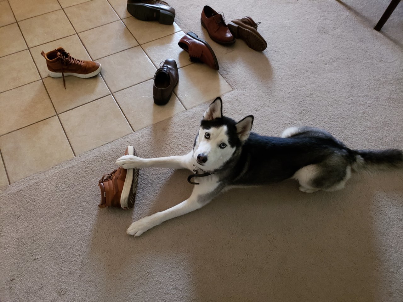 20181215_140113.jpg