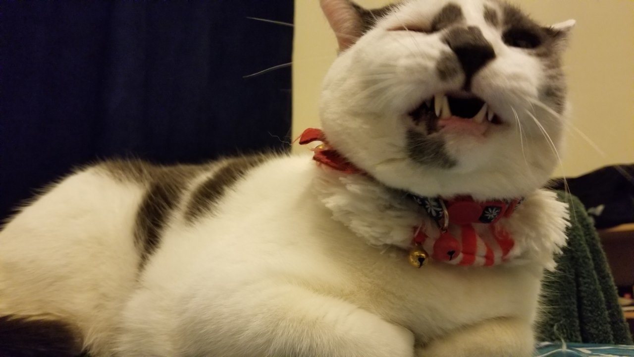 20181215_172902.jpg