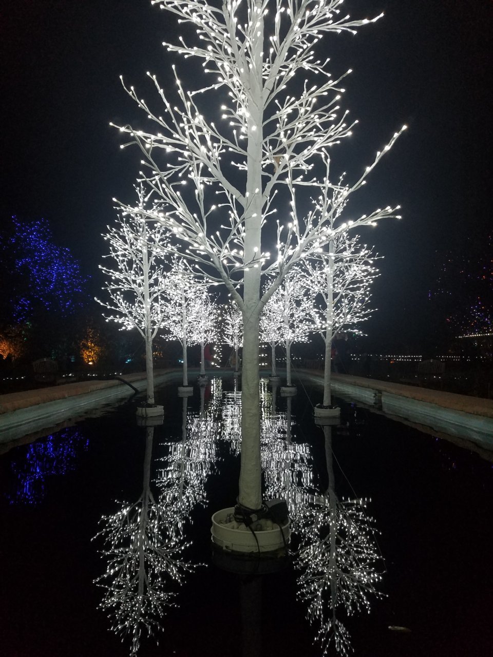 20181215_175404.jpg