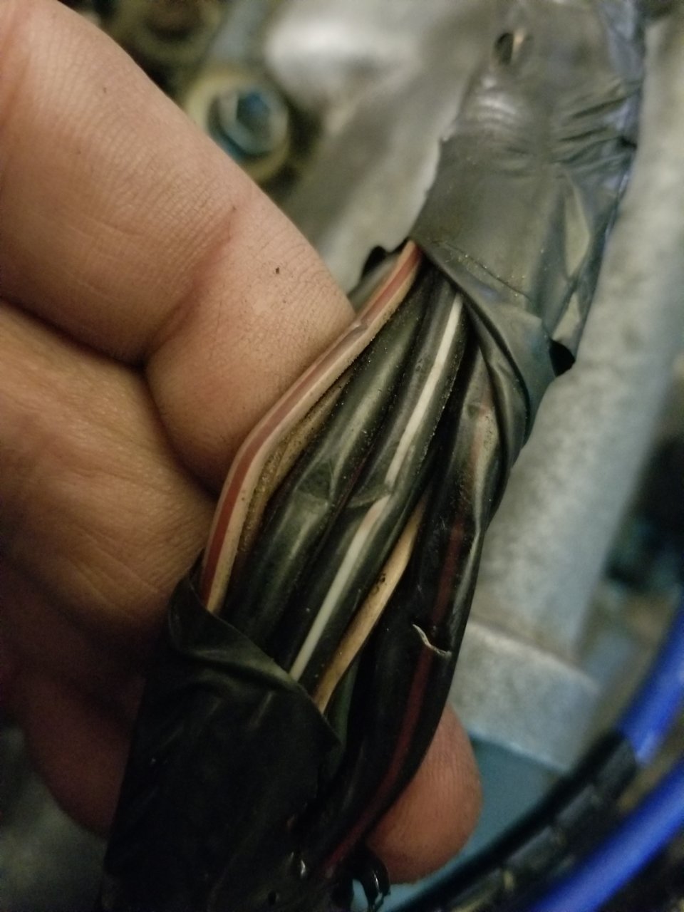 20181215_182347.jpg