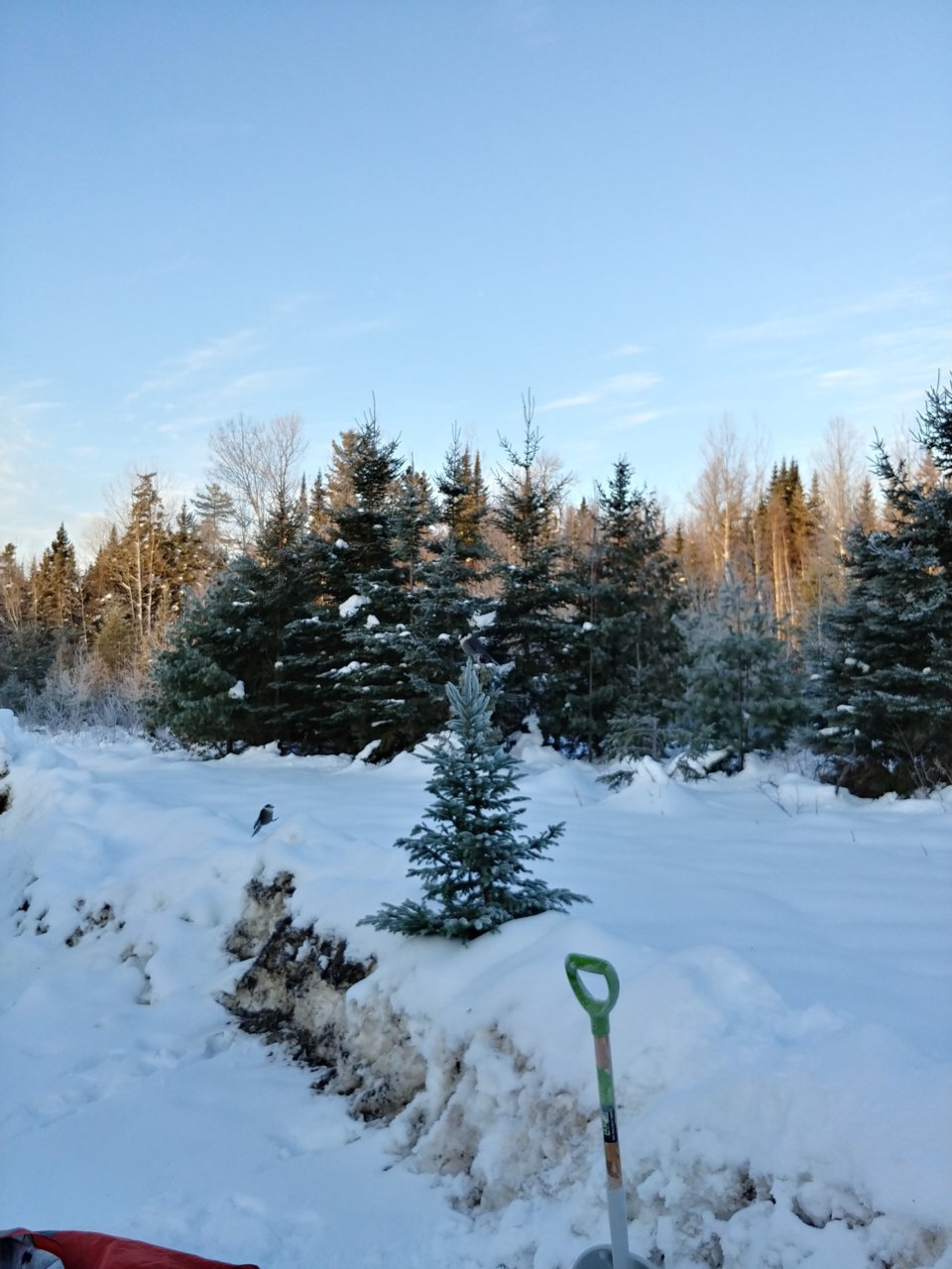 20181216_074244_HDR.jpg