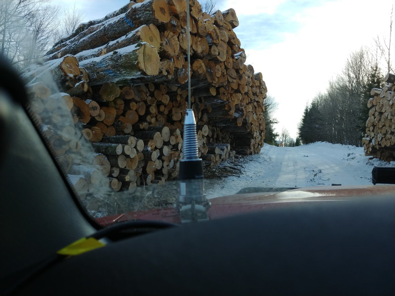 20181216_095141_HDR.jpg