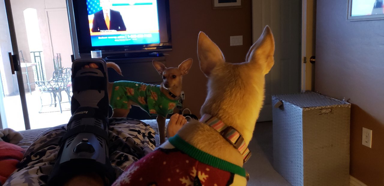 20181217_143920.jpg
