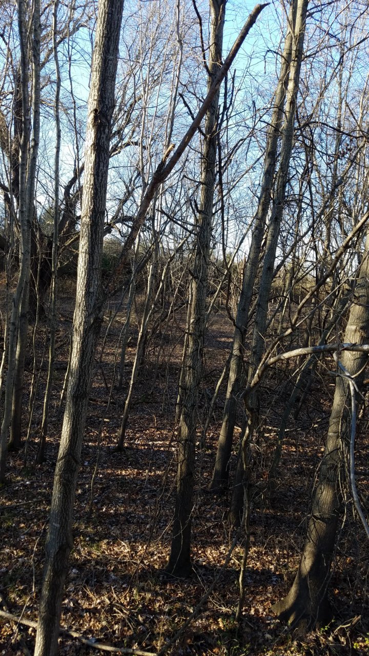 20181217_145441.jpg