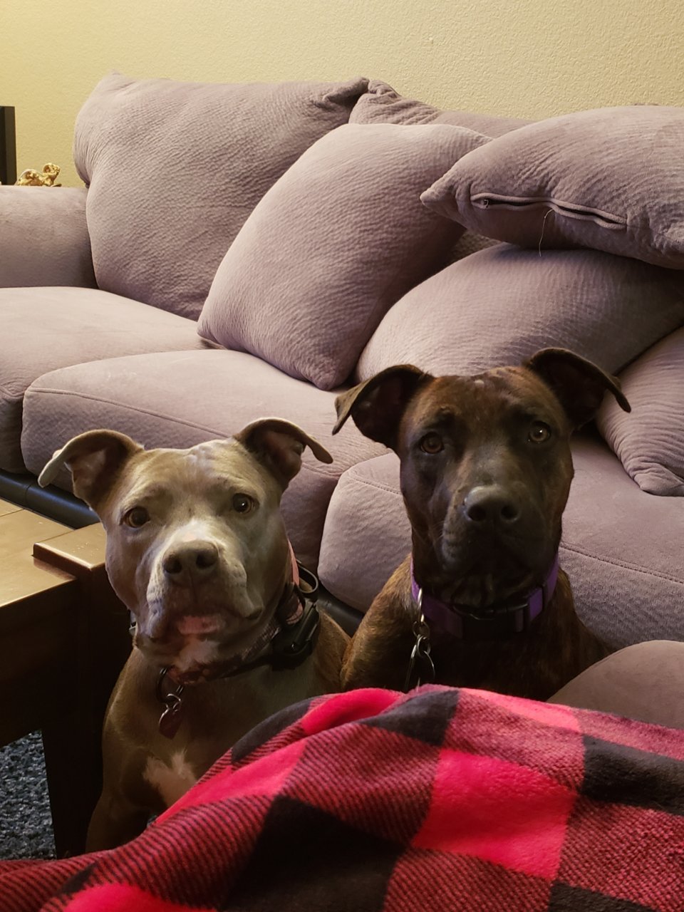 20181217_203356.jpg