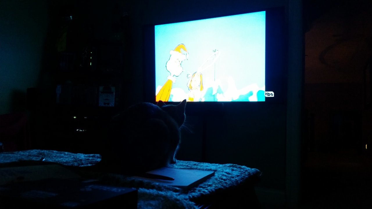 20181218_204637.jpg