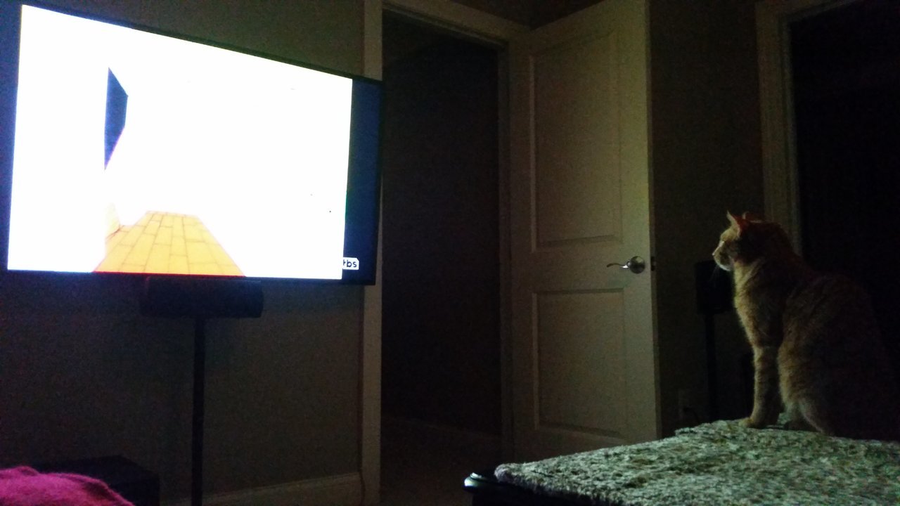 20181218_205031.jpg
