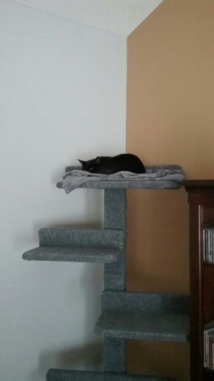 20181219_143524.jpg
