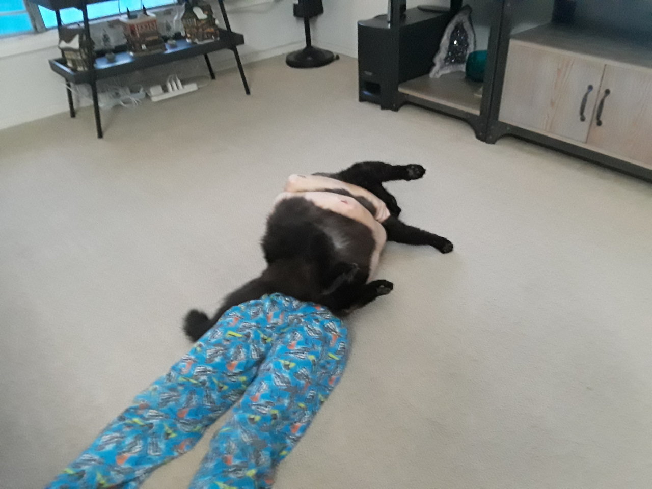 20181219_165001.jpg