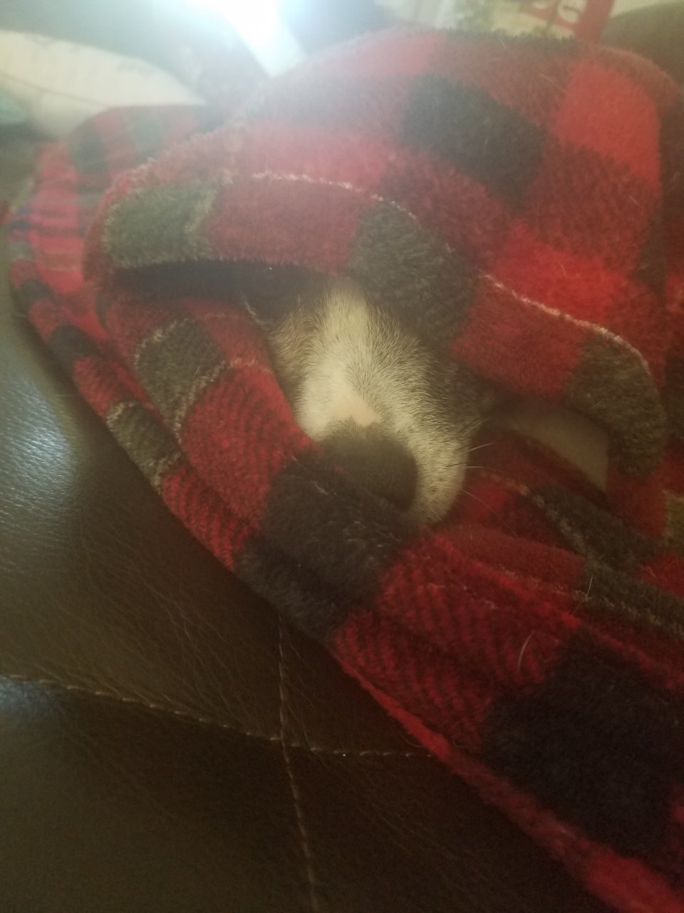 20181220_105827.jpg