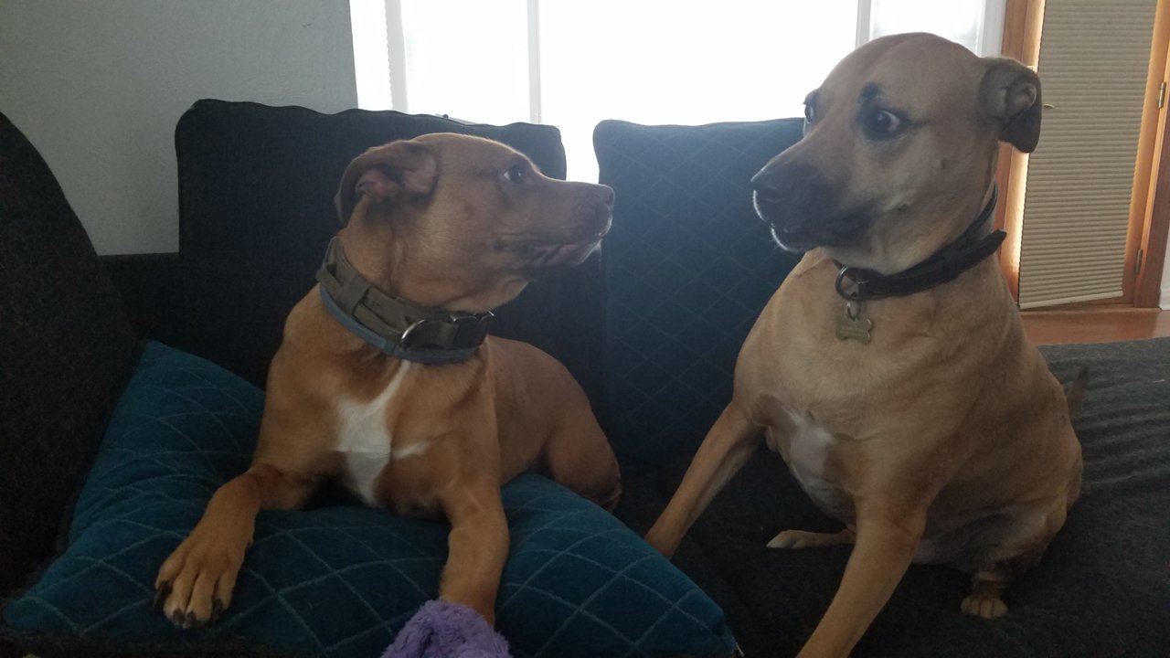 20181220_135158.jpg