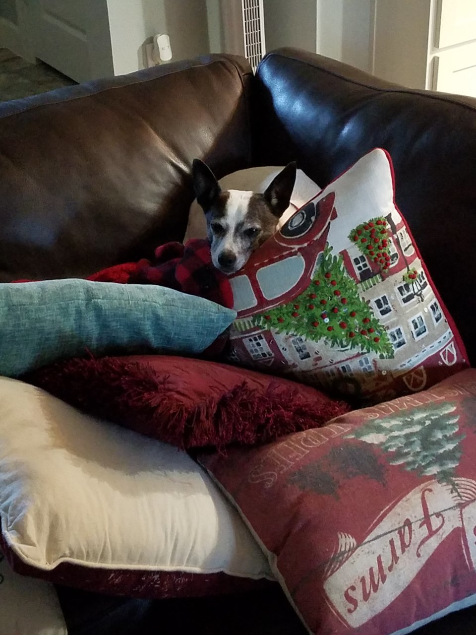 20181220_164410.jpg