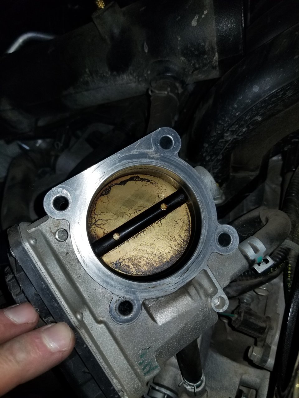 20181221_175536.jpg