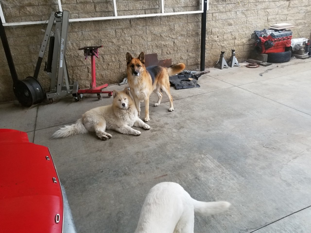 20181222_080318.jpg
