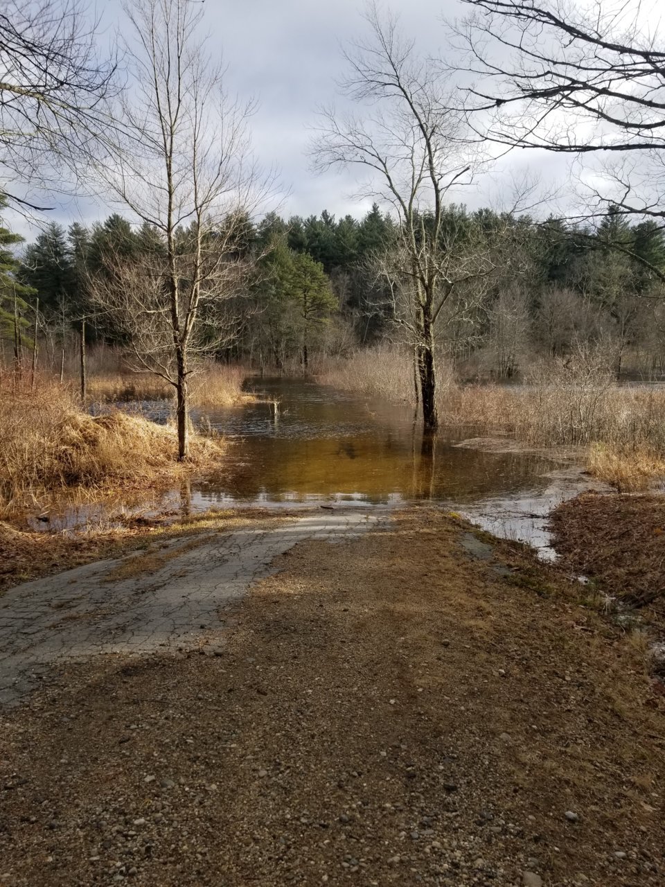 20181222_134709.jpg