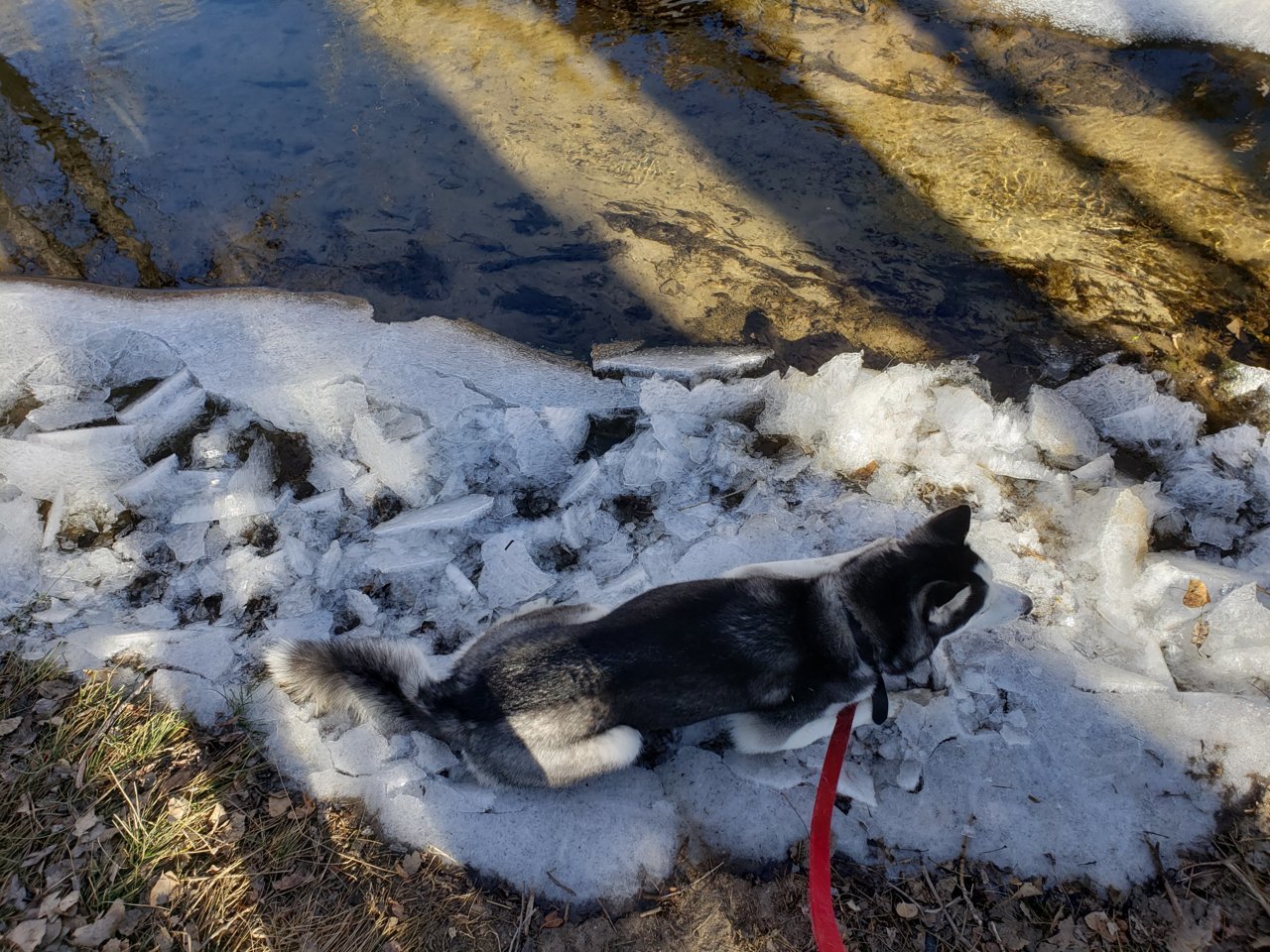 20181223_110307.jpg