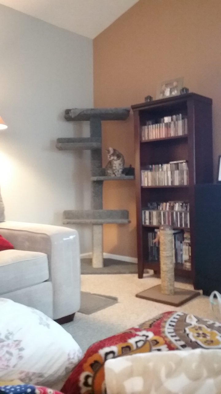 20181223_141919.jpg