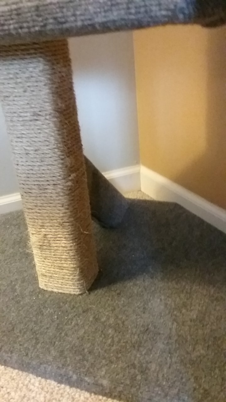 20181223_144609.jpg