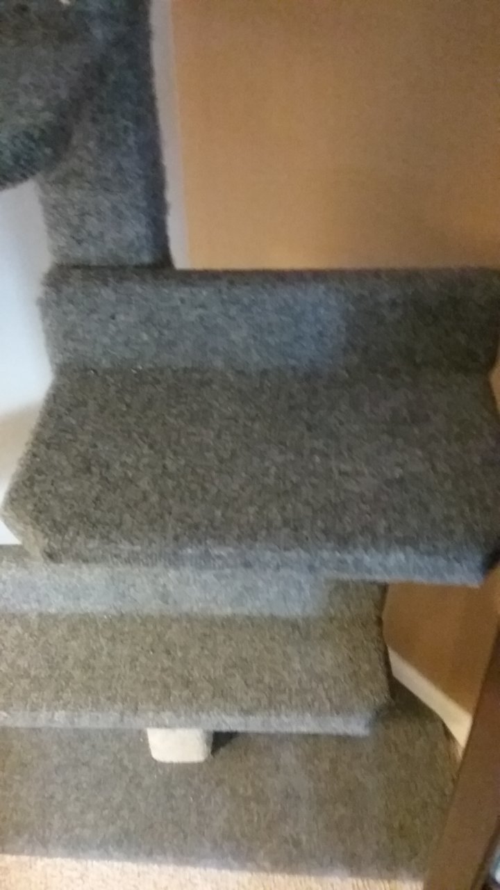 20181223_144618.jpg