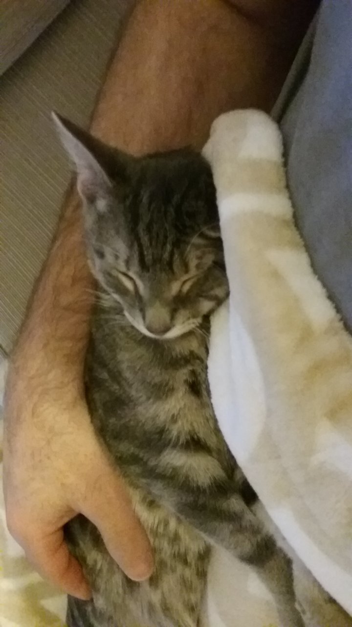 20181223_165701.jpg