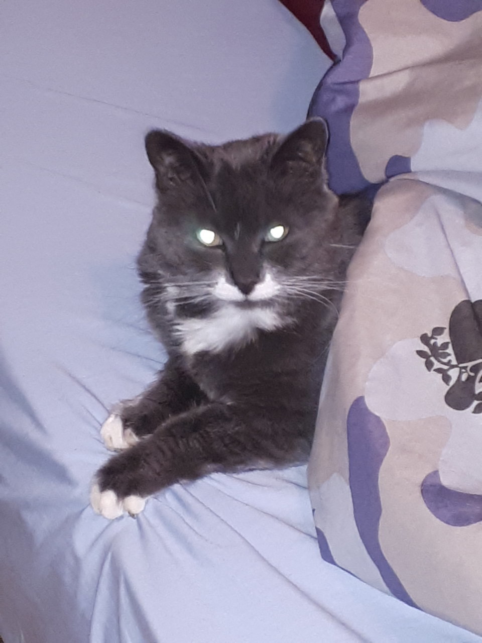 20181224_083138.jpg