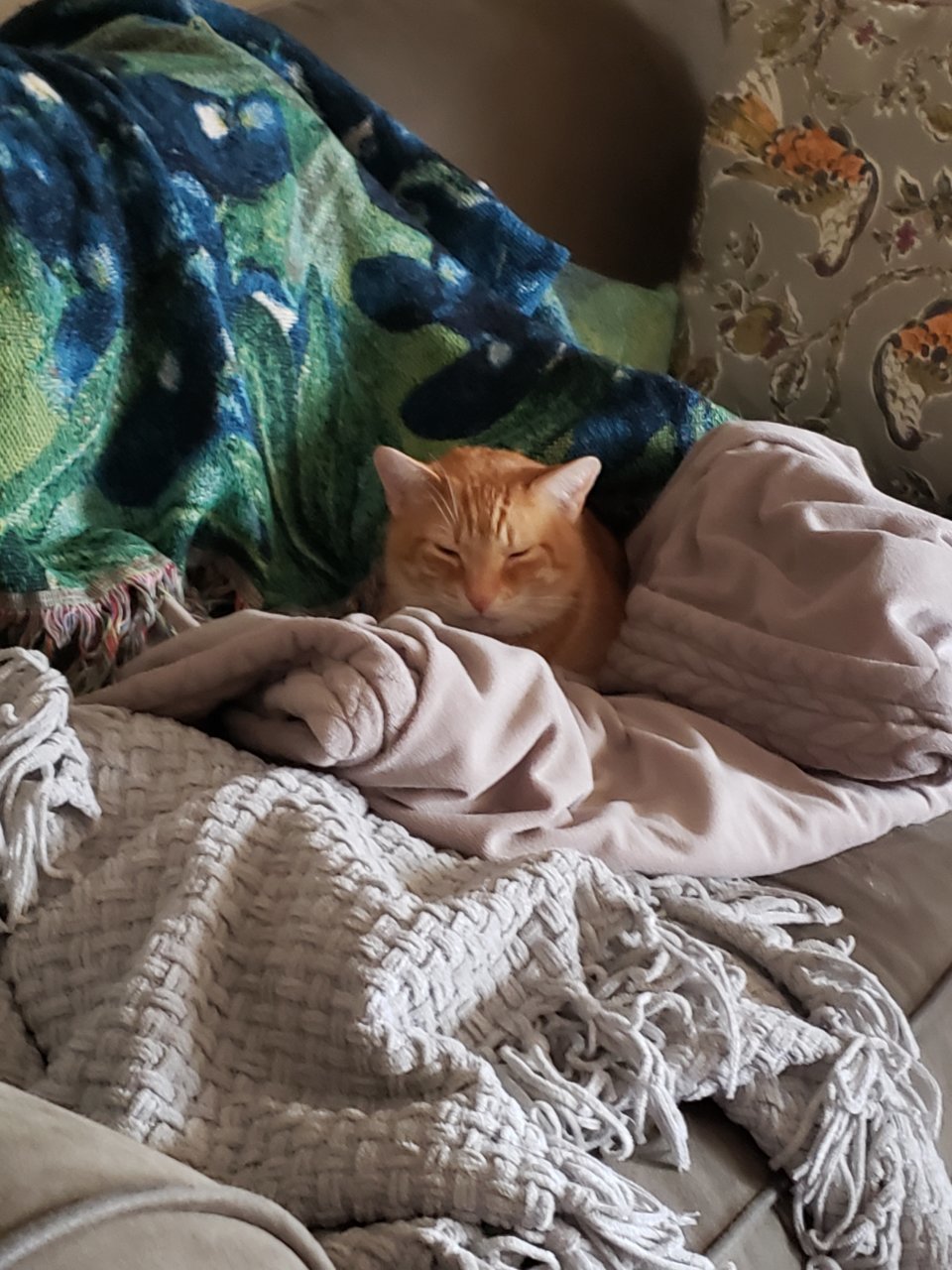 20181224_132747.jpg