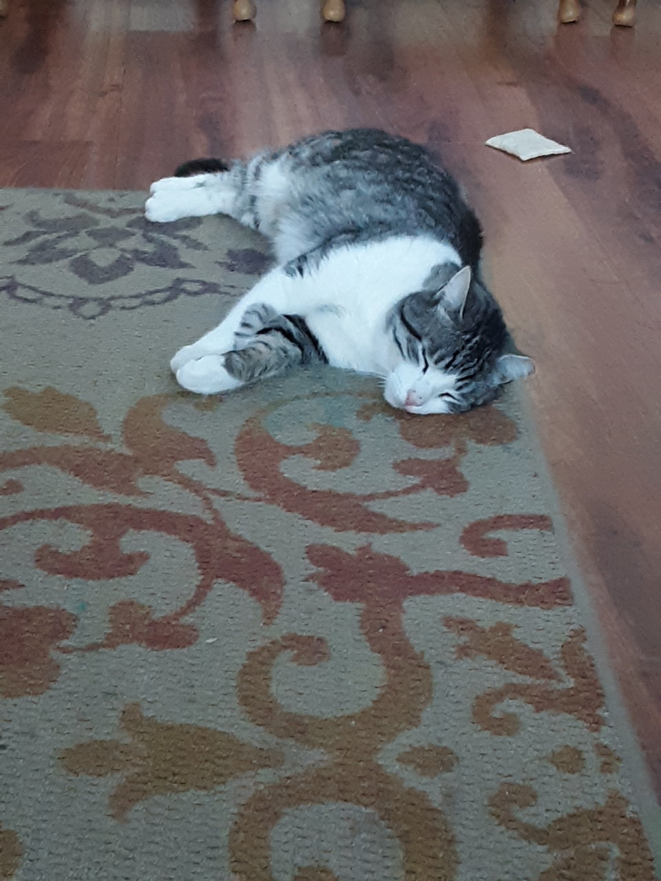 20181224_152944.jpg