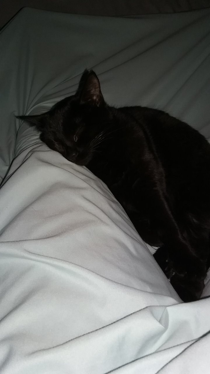 20181224_171552.jpg