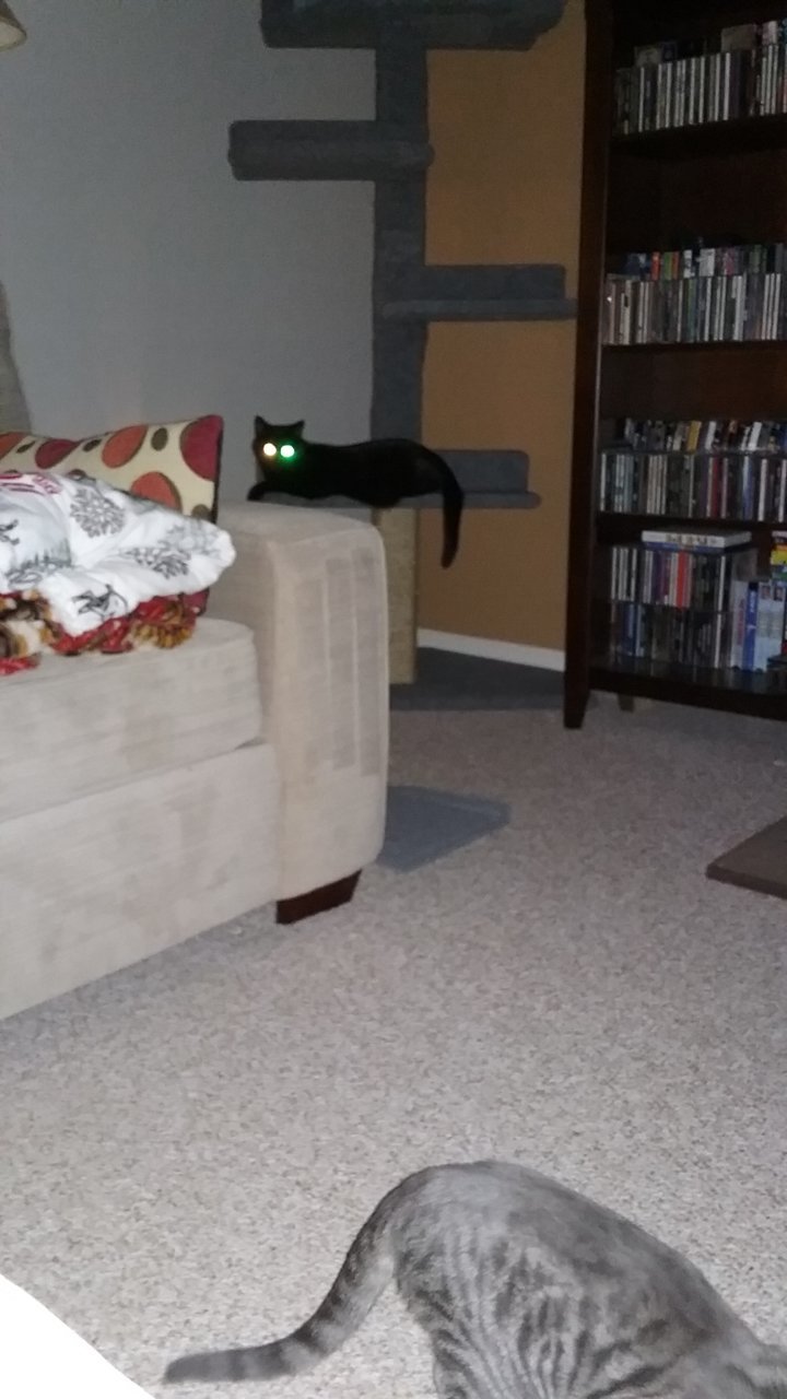 20181225_000722.jpg