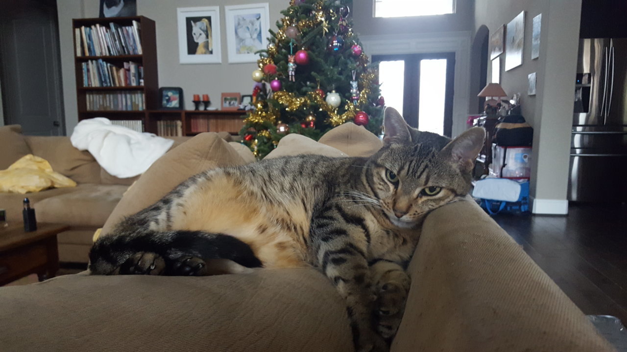 20181225_082541.jpg