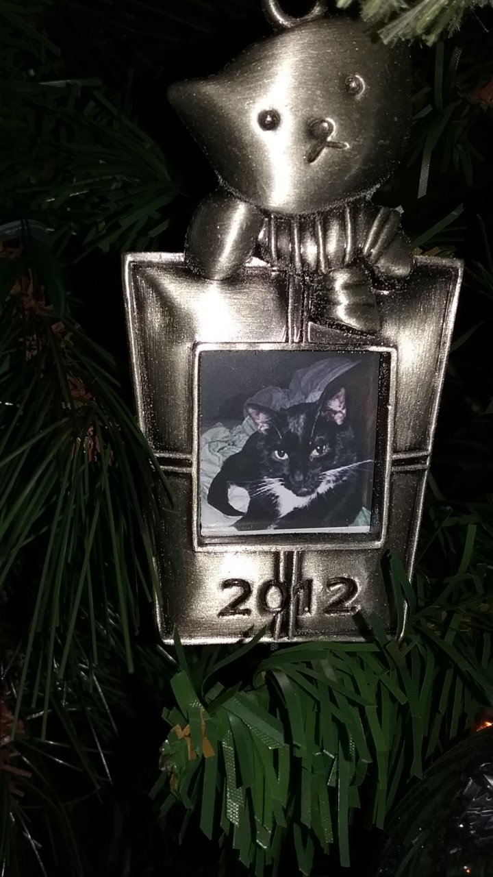 20181225_123624.jpg