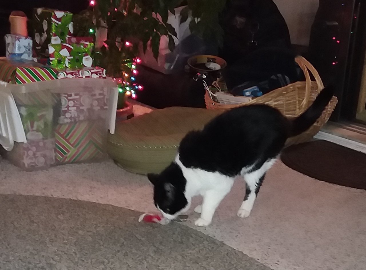 20181225_181247.jpg