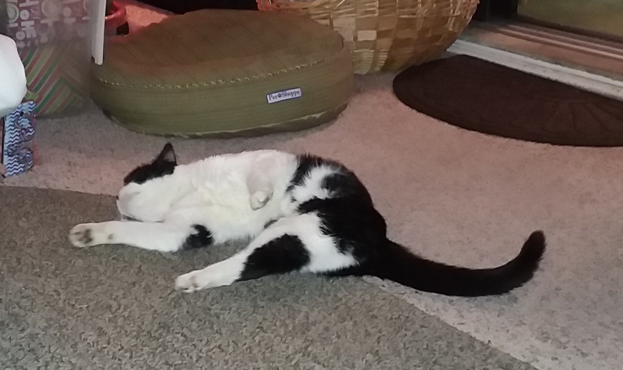 20181225_181357.jpg
