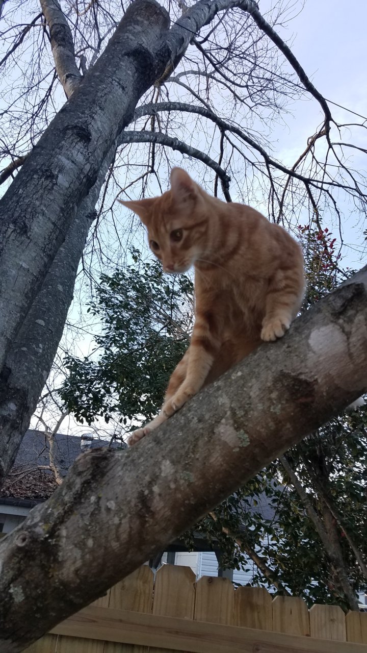 20181226_162919.jpg