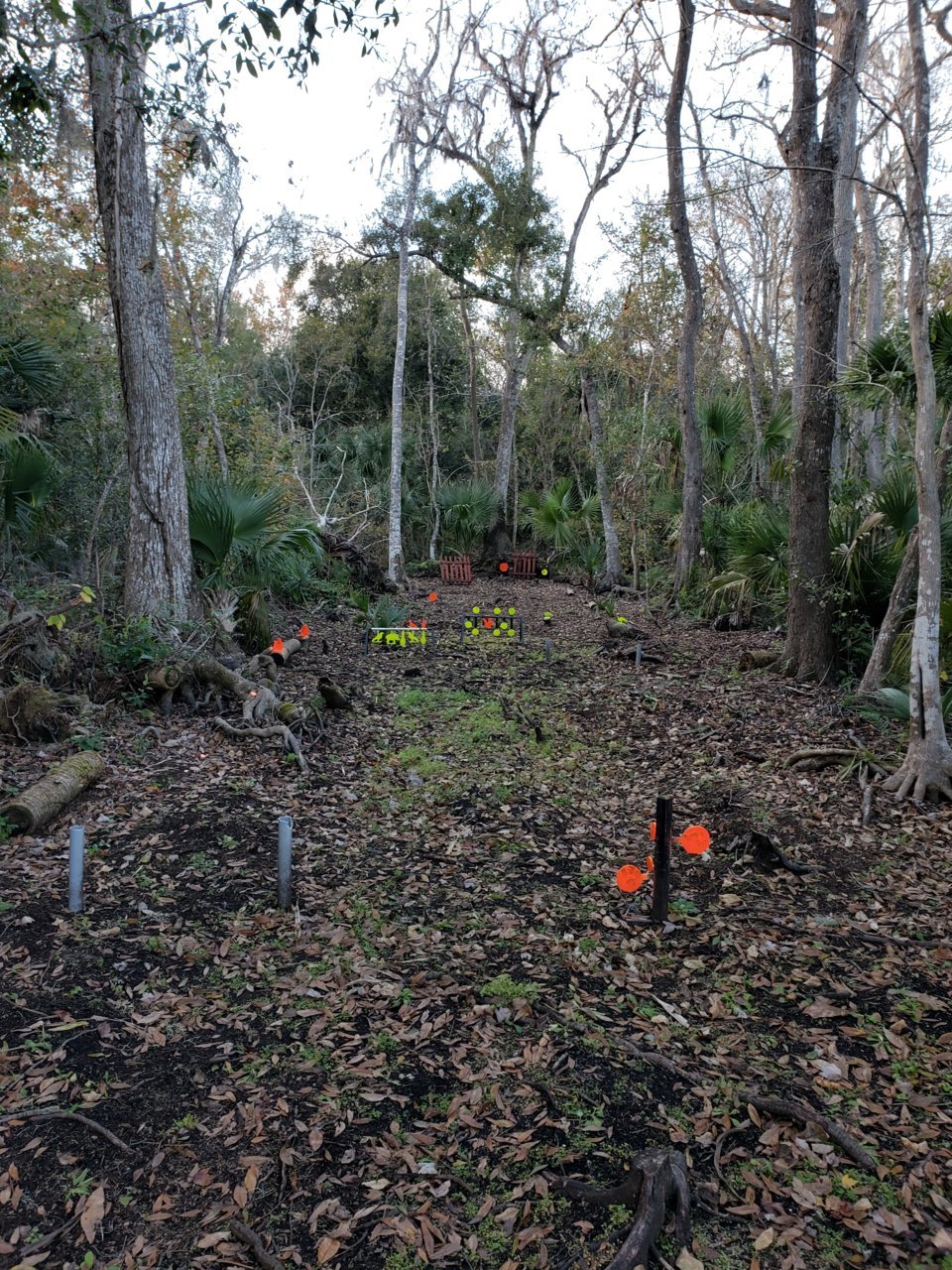 20181226_164456.jpg