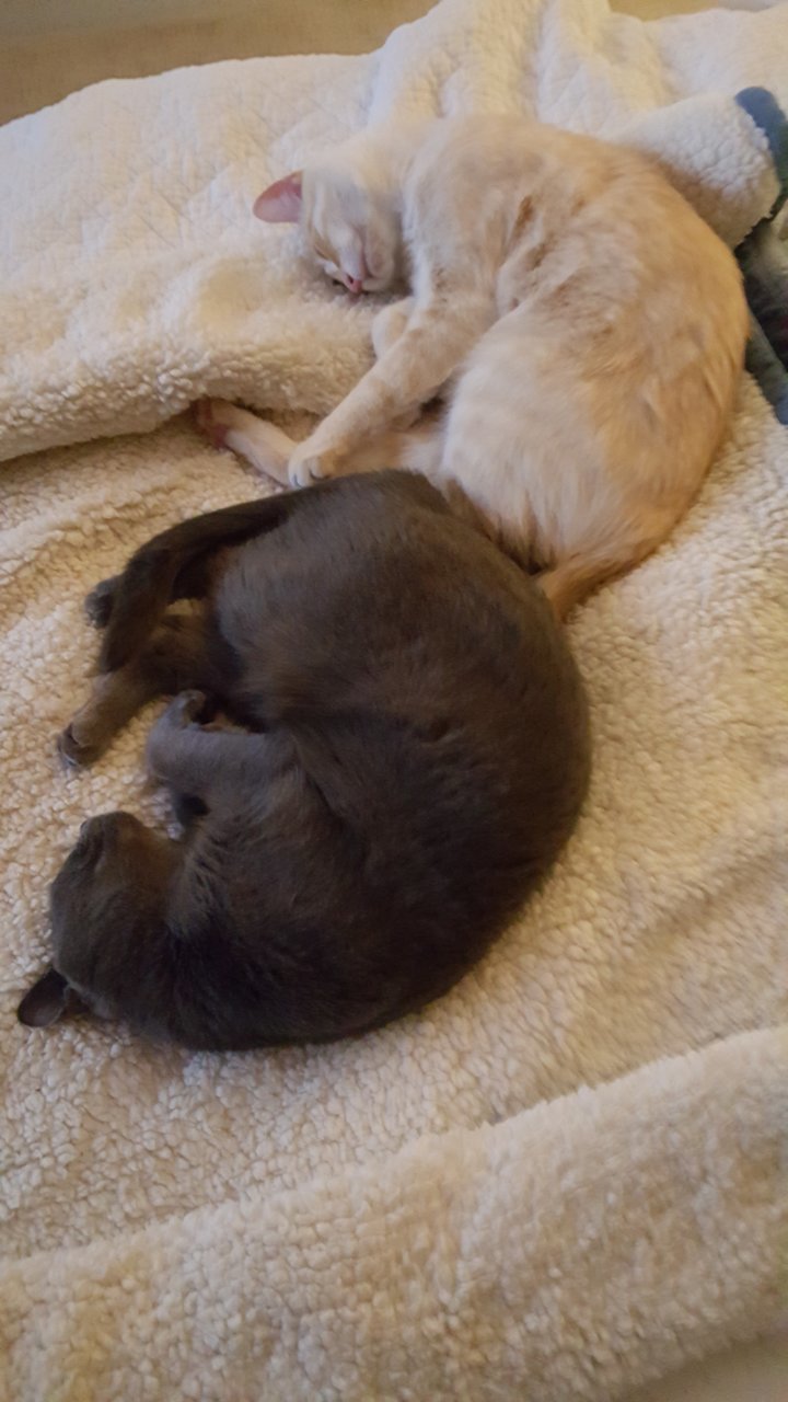 20181227_205033.jpg