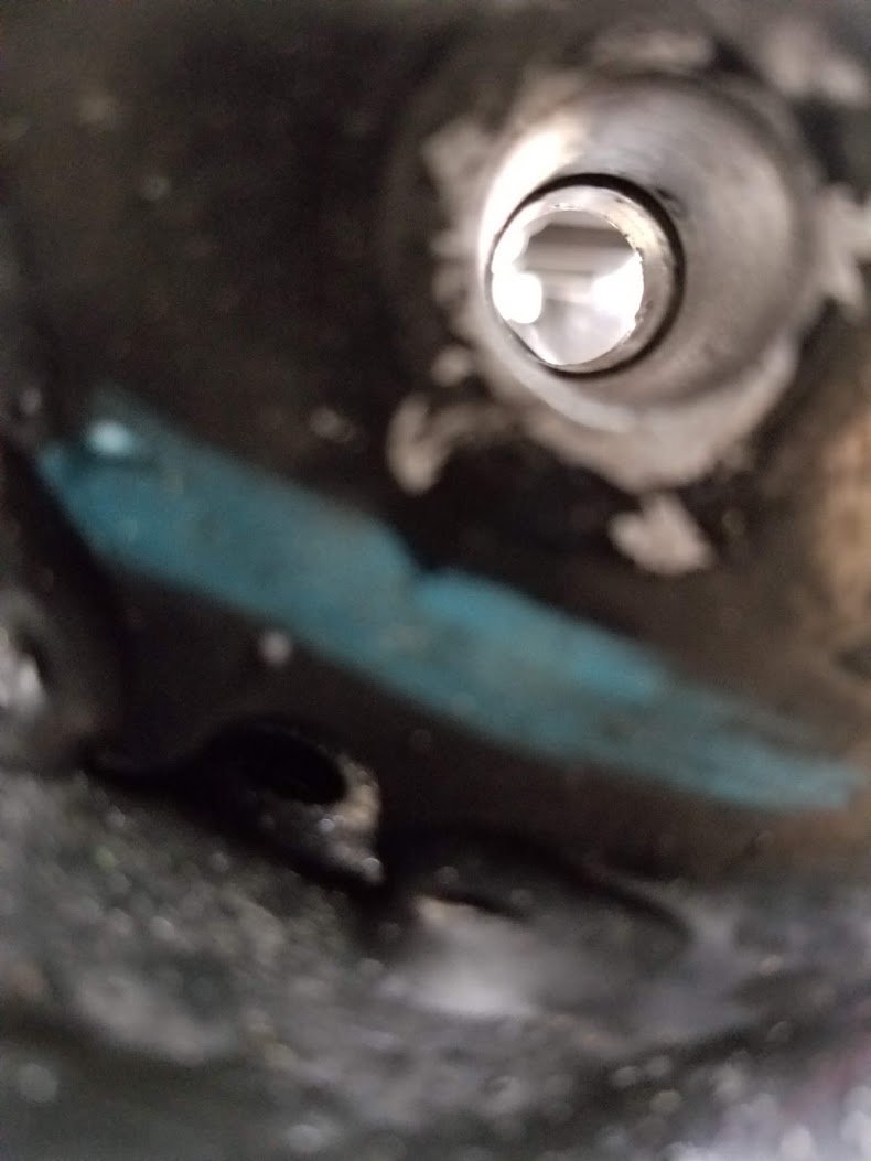 20181228_103613.jpg