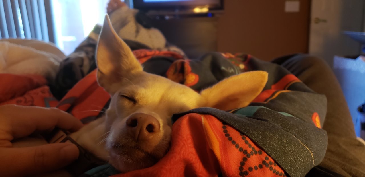20181228_154723.jpg