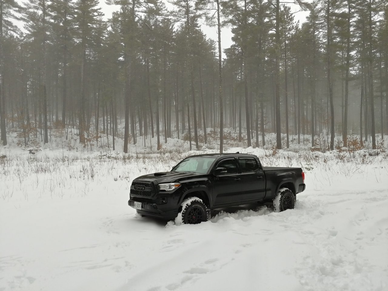20181228_160634_HDR.jpg