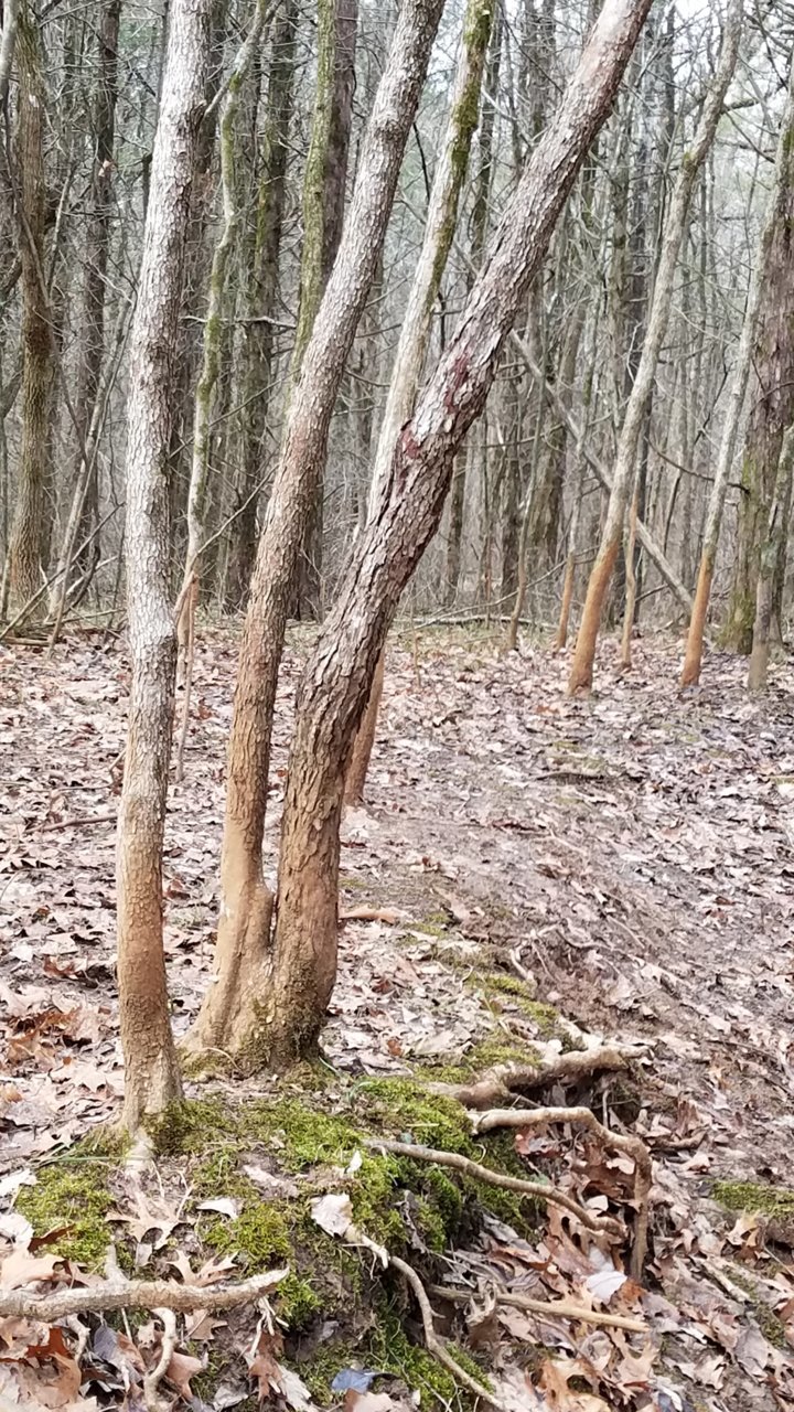 20181229_101530.jpg
