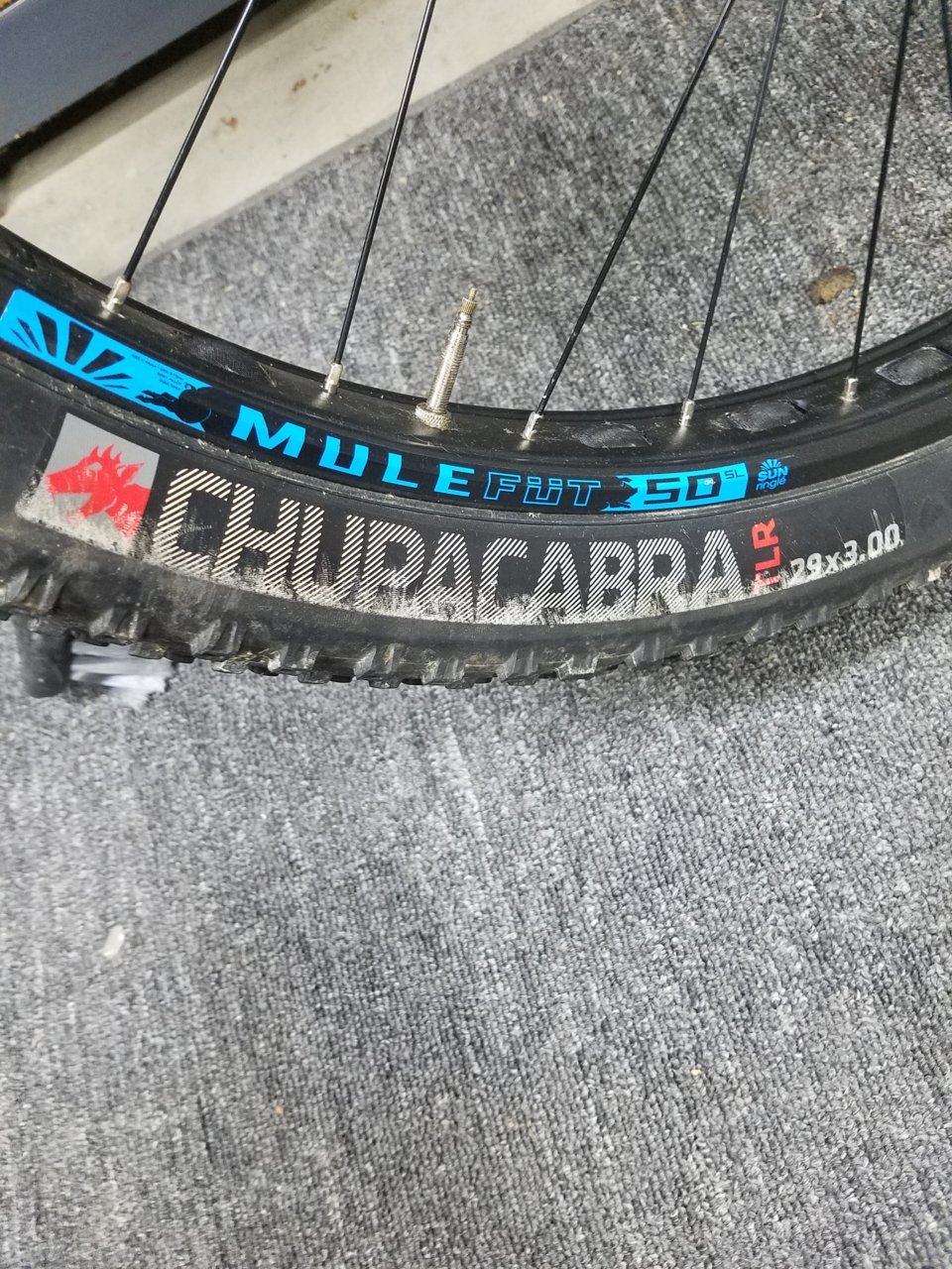 20181229_191207.jpg