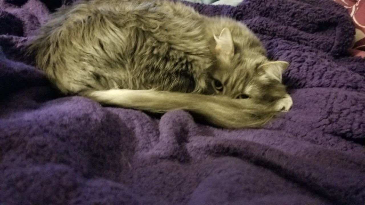 20181230_164104.jpg