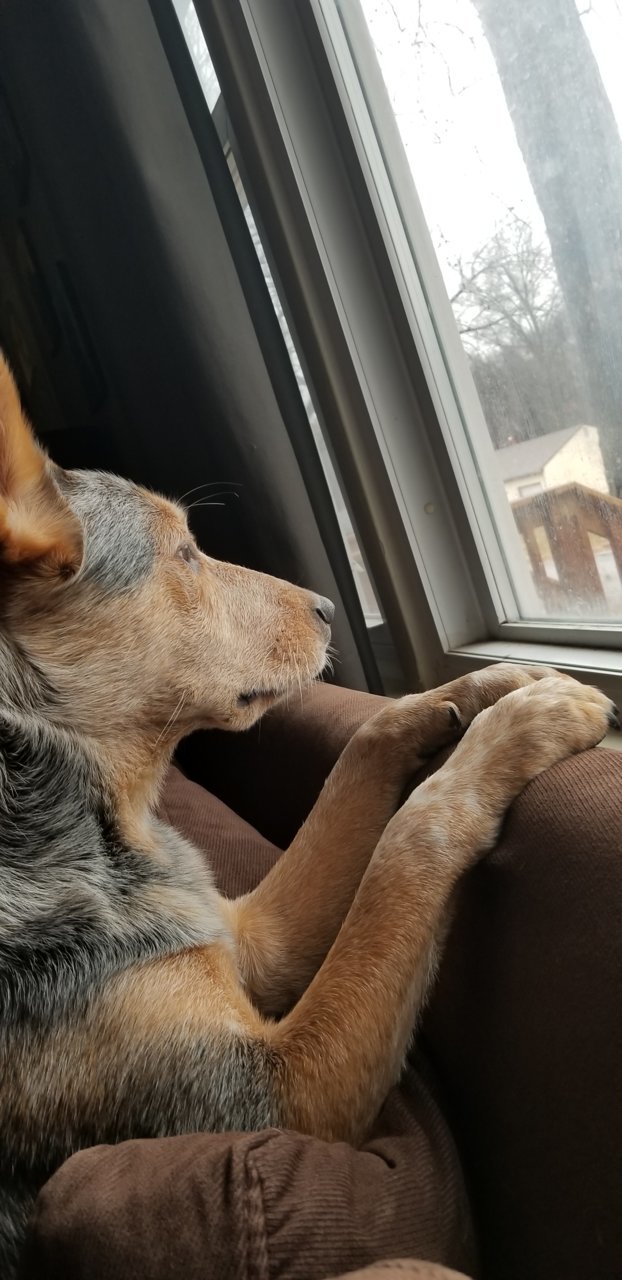 20181231_103013.jpg