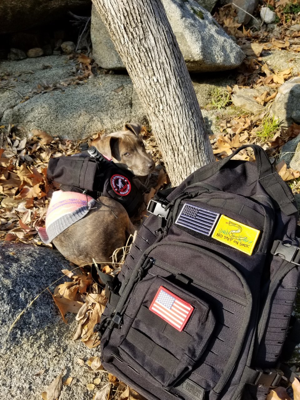 20181231_132735.jpg