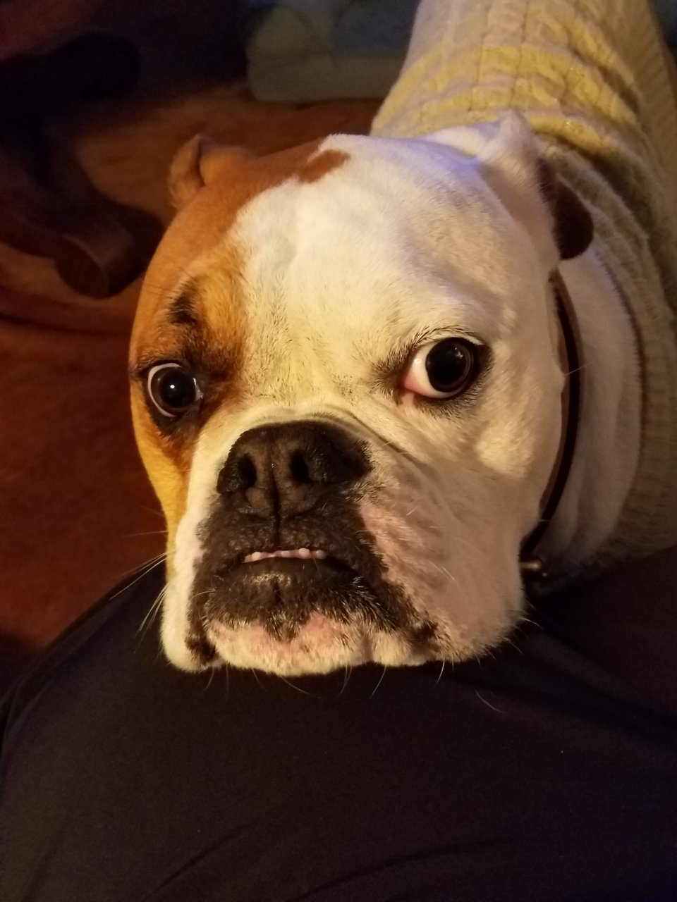 20181231_232708.jpg