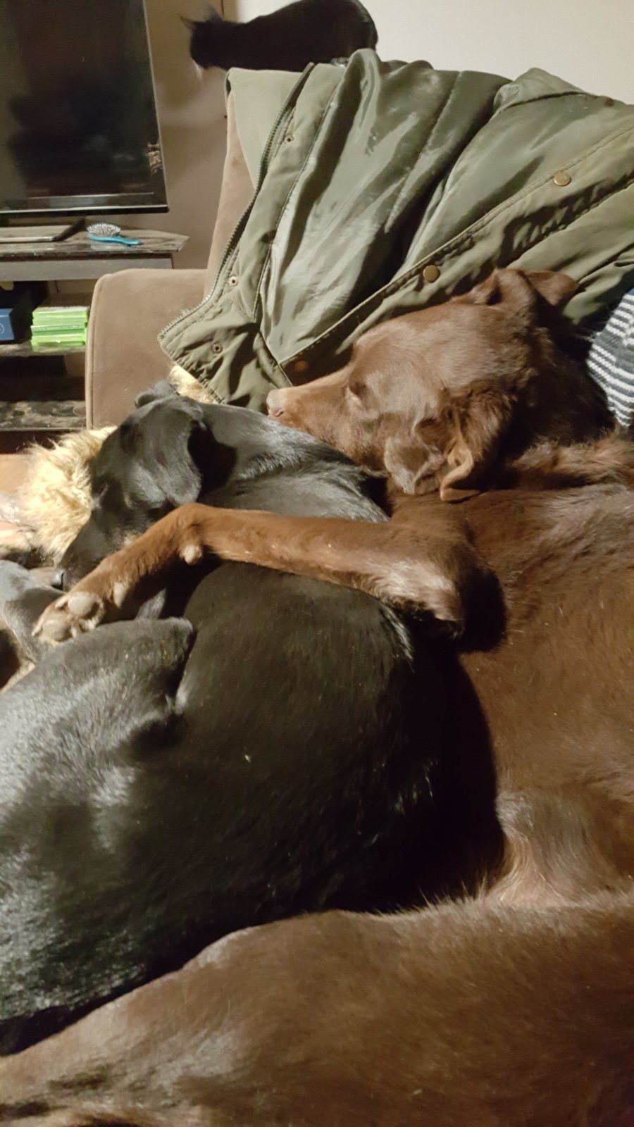 20181231_235521.jpg