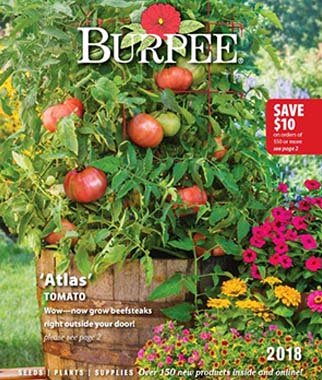 2018_catalog_atlas.jpg
