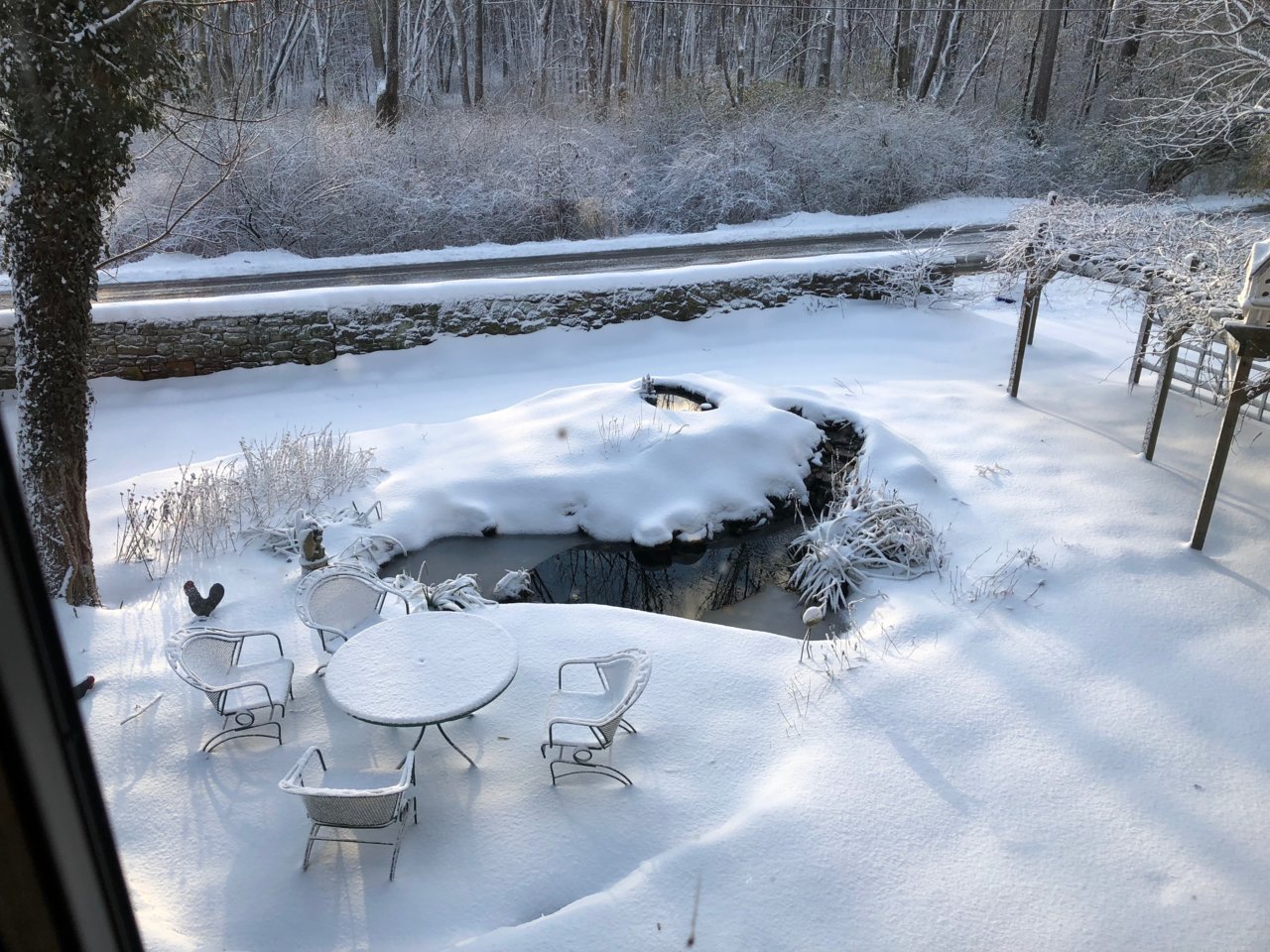 2018_early_winter.jpg